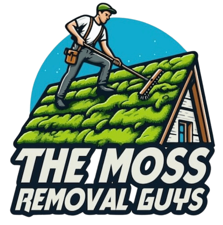 Moss Removal Wokingham